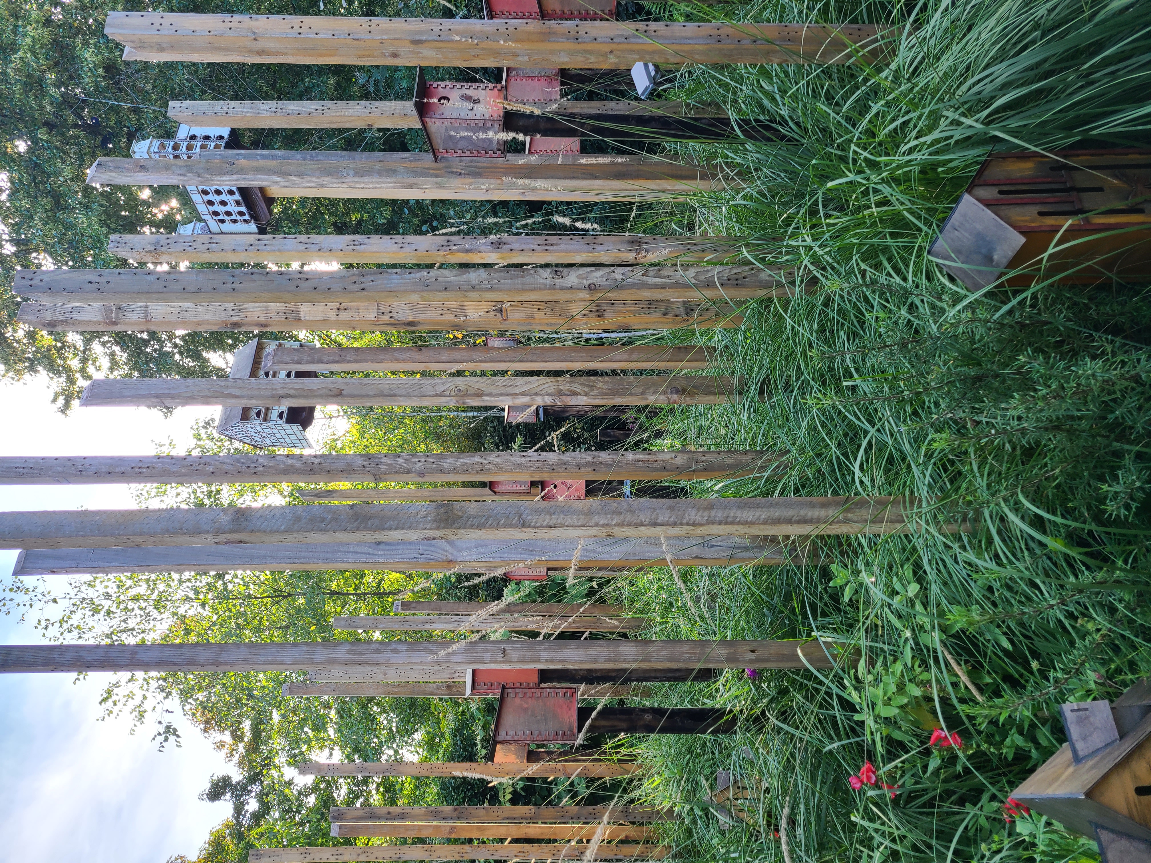 Chaumont1[1]